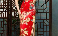 chinesefree普通话对白